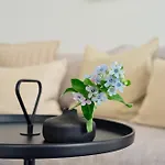 B13 Mit Balkon & Nutzung Der Wellness- & Aktivbereiche Im Pine Hill شقة Zirchow