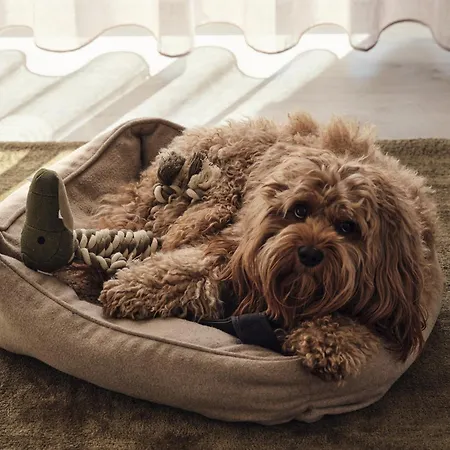 Apartamento B13 Mit Balkon & Nutzung Der Wellness- & Aktivbereiche Im Pine Hill *