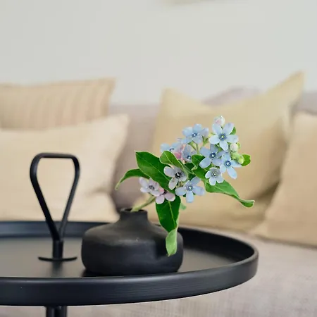 B13 Mit Balkon & Nutzung Der Wellness- & Aktivbereiche Im Pine Hill Apartament Zirchow