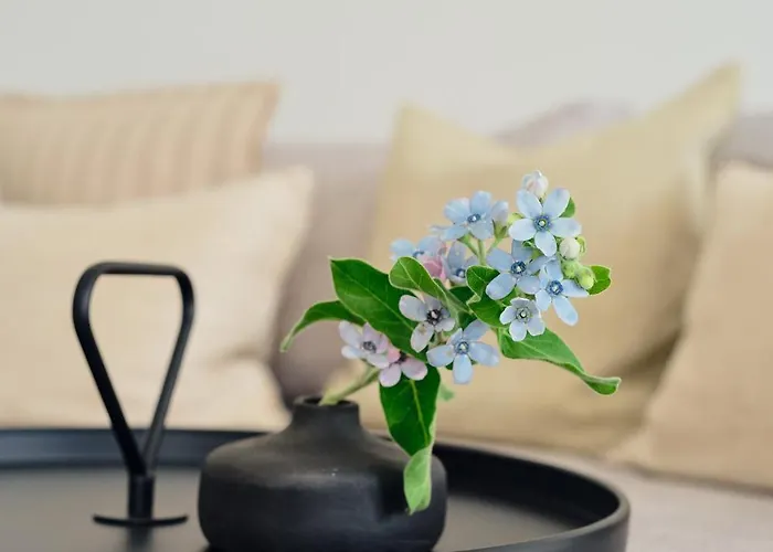 B13 Mit Balkon&nutzung Der Wellness-&aktivbereiche Im Pine Hill Apartment Zirchow
